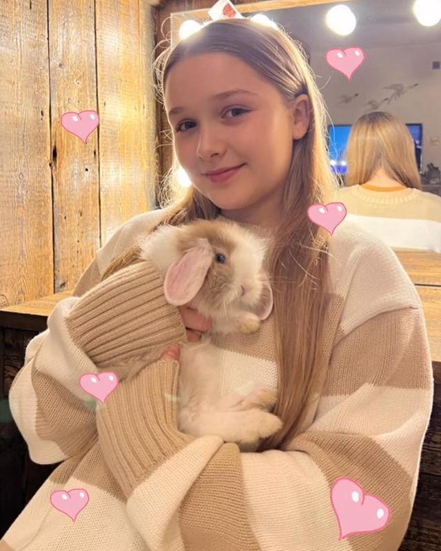 维多利亚·贝克汉姆不准小七化妆出门 虽然她是化妆高手但更应该珍惜