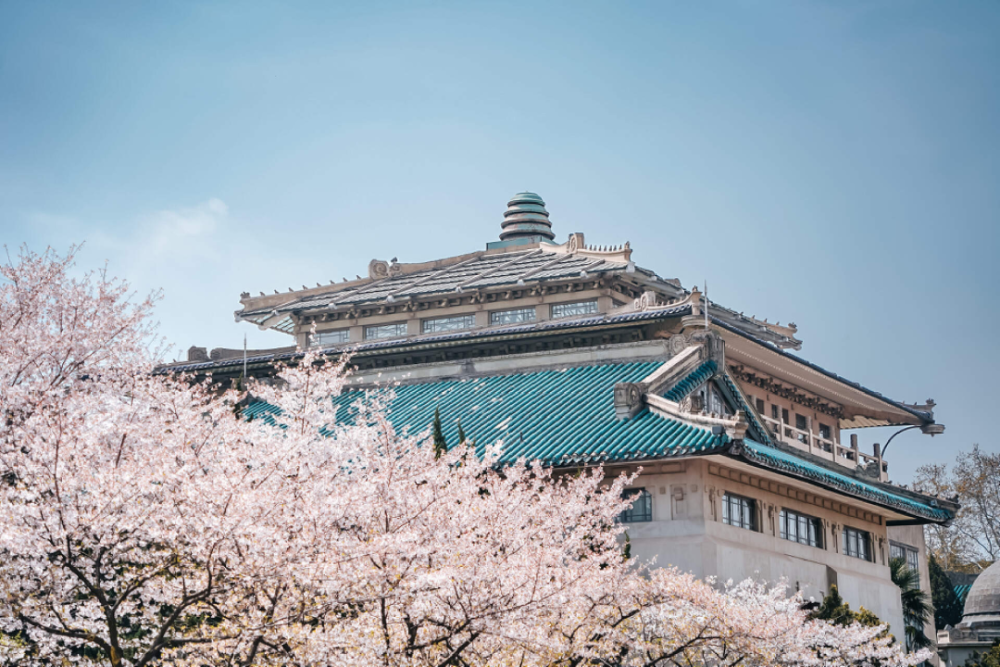 武大学生,真的怕了樱花季_腾讯新闻