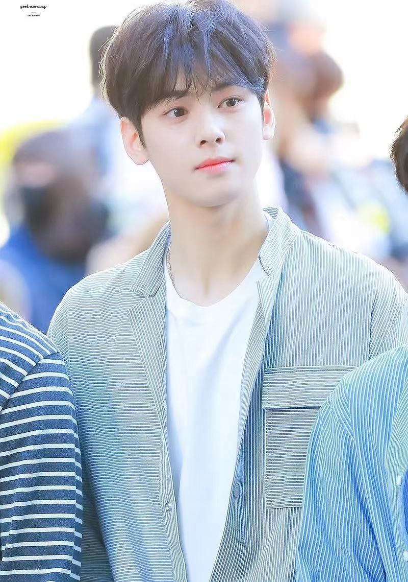 车银优被追缴税款打破韩国艺人最高纪录，其否认逃税事实，要申诉-腾讯新闻