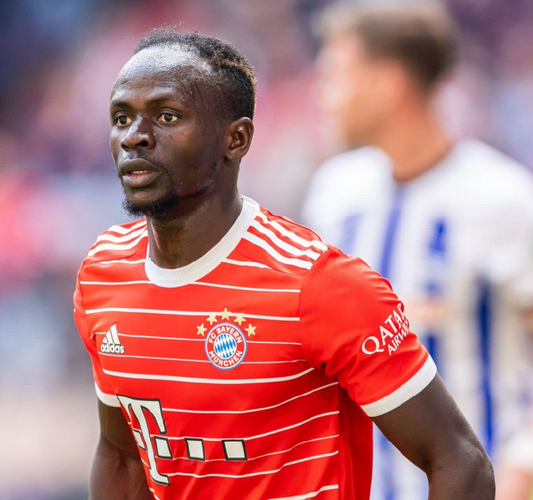 马内与拜仁全队告别