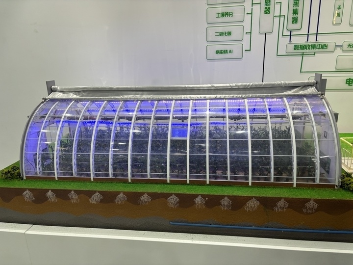 这里的大棚可取暖,看看莘县蔬菜的"致富经" | 改革成果看山东