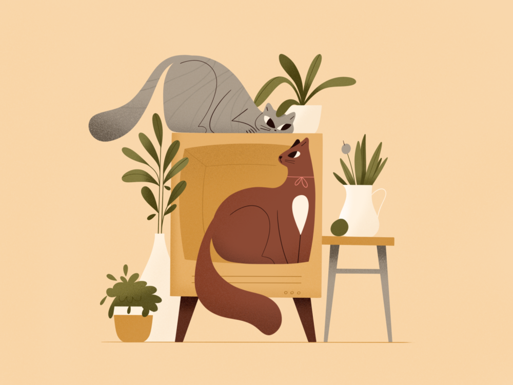 其实老好人的善良,对你好,是"看人下菜碟"来的;老好人并非多么善良