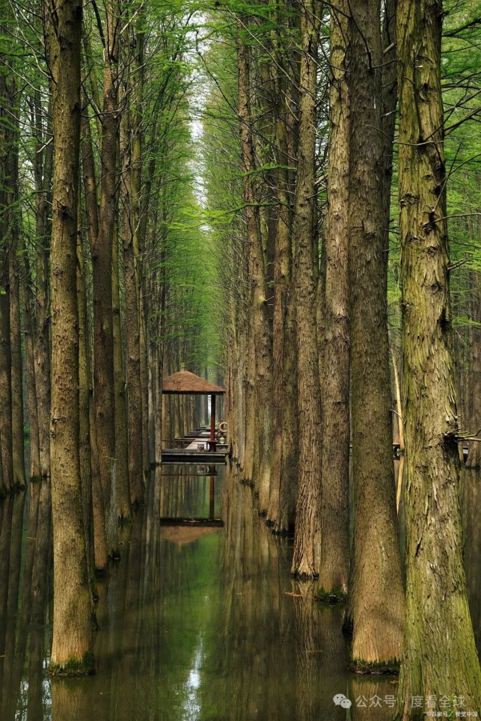 泰州旅游景点排名图片