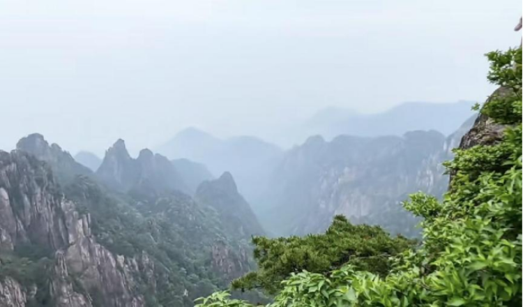 雨中黄山的云海更加壮观,云雾缭绕,层峦叠嶂,仿佛置身于一幅泼墨山 