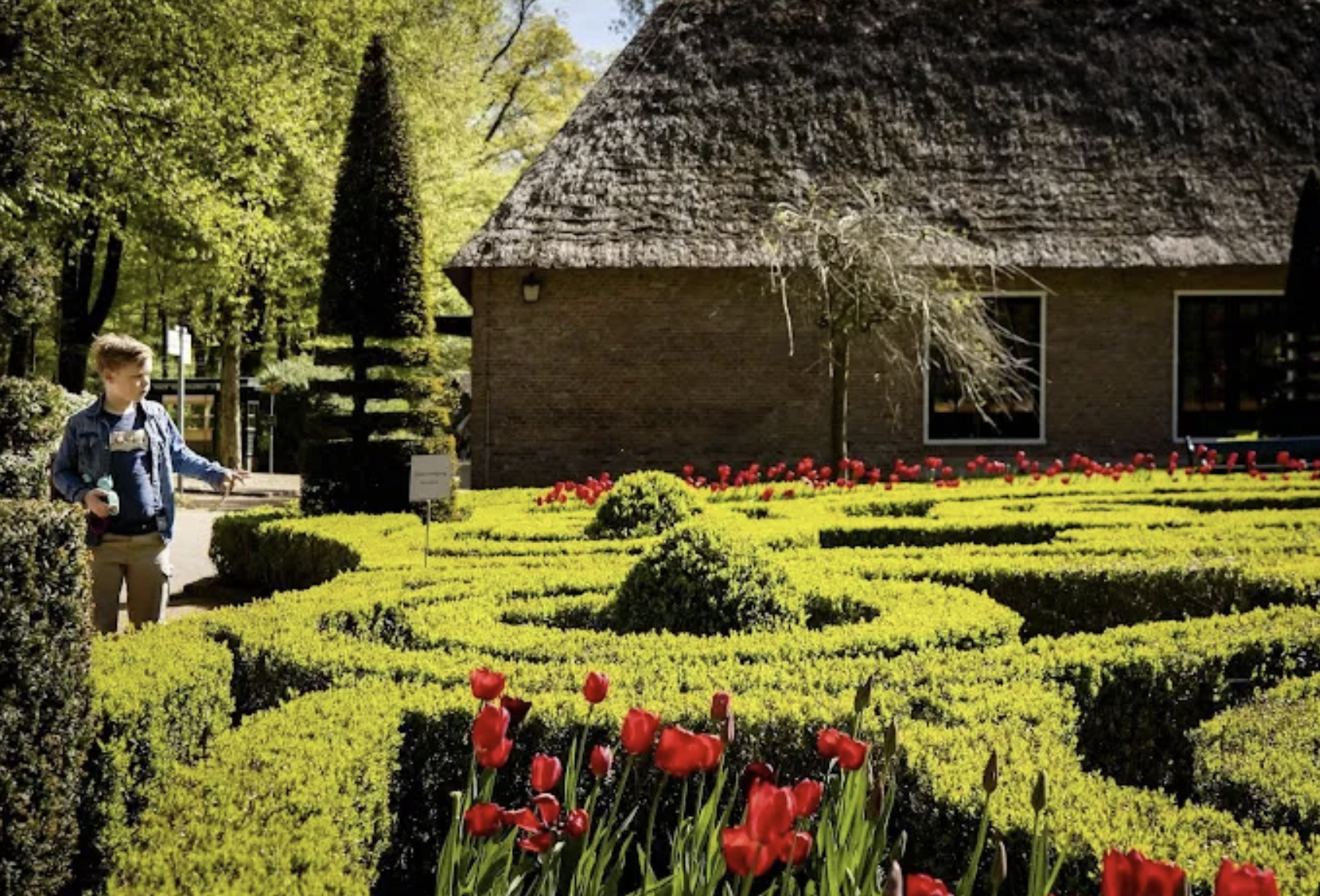 【荷蘭社情】荷蘭天氣乾燥野火不斷；阿姆斯特丹治安不寧；有市政府不設立難民收容點