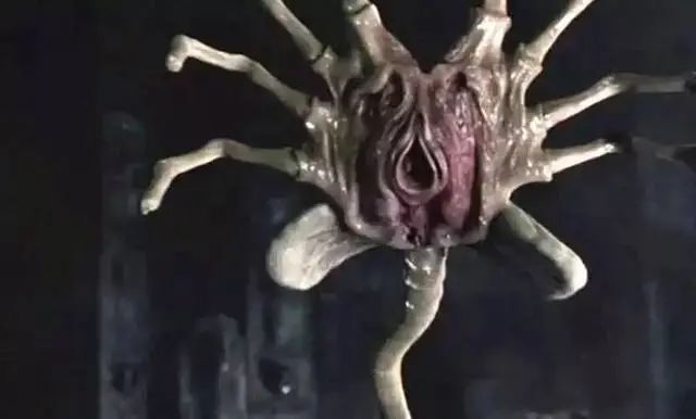 异形归来,女性生殖器再现!