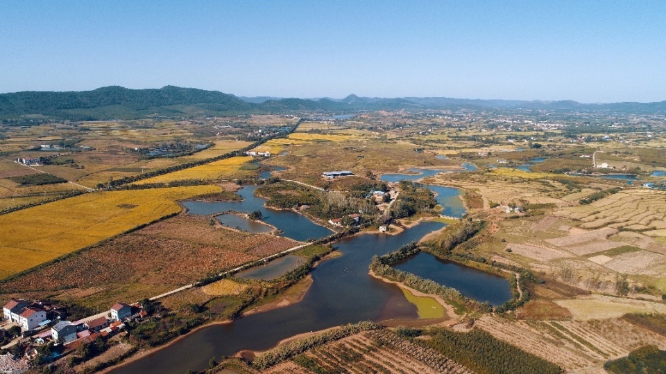湖北屈家岭遗址发现史前"水坝"_腾讯新闻
