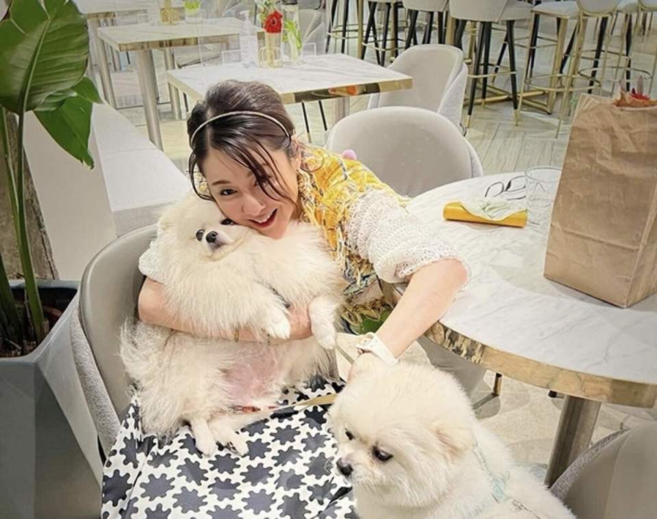 知名港星陈淑兰大方承认整容每两个月打瘦脸针身材发胖至今单身