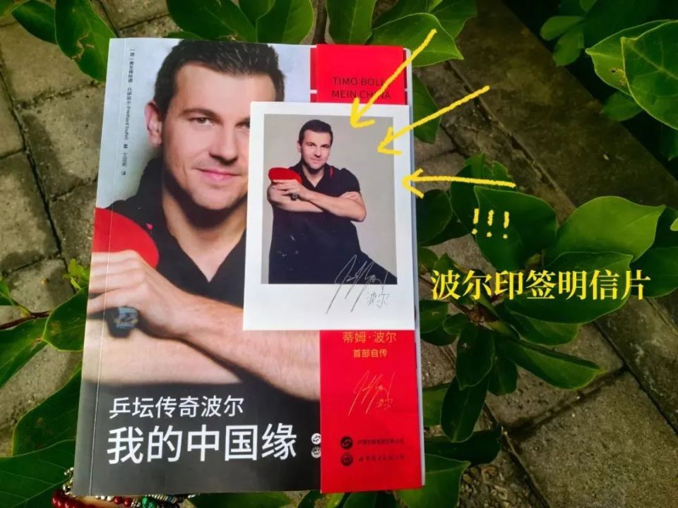 巨星著作！波尔自传开启预售，分享从少年到不惑之年的乒乓感悟