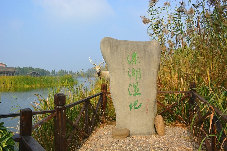 溱湖国家湿地公园之美