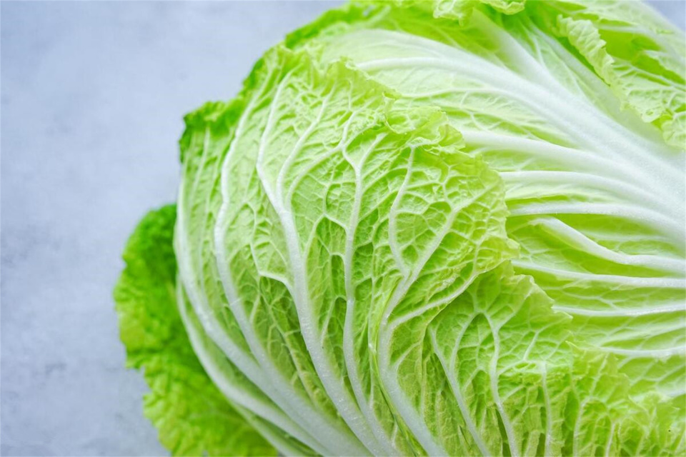 冬吃白菜赛人参,教你5种家常做法,每天换着吃不烦,适合冬天