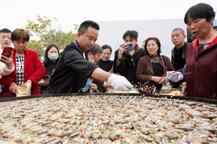 宁波宁海第十九届长街蛏子节举行_腾讯新闻