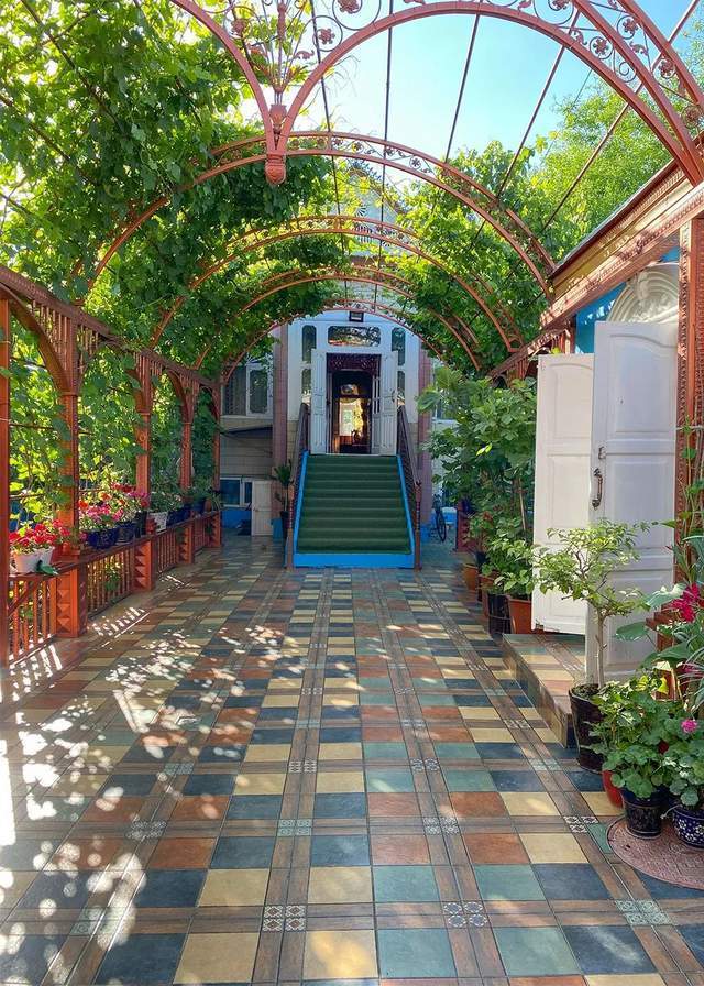 新疆,为什么像四个省份?| 地球知识局