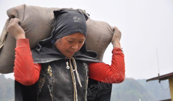 73岁大妈还干搬水泥袋子这样有污染的重体力劳动,整个社会需反思_腾讯