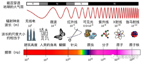 给大家科普一下六年级下册音乐书所有歌曲2023已更新(新华网/网易)v8.9.6