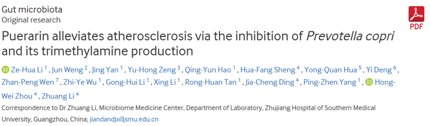 南方医科大学:葛根素可以调节肠道微生物群,改善心血管健康