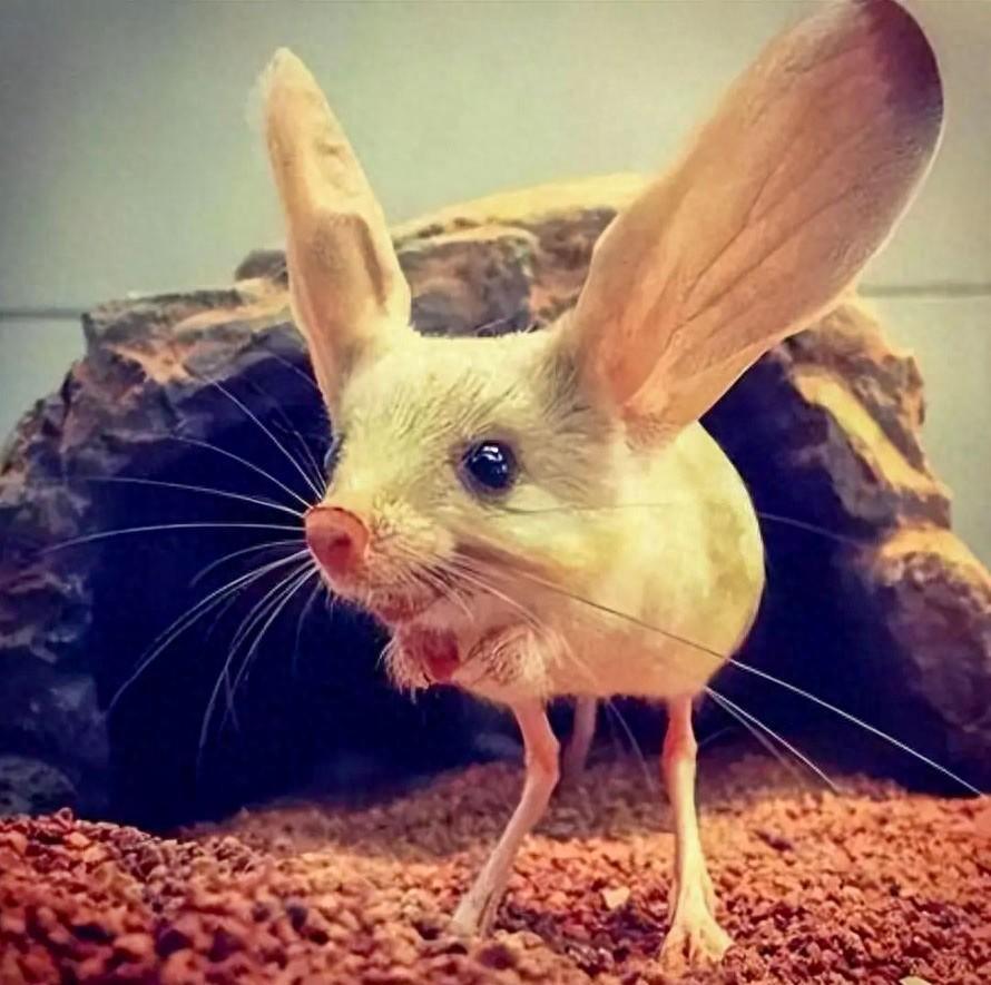 641