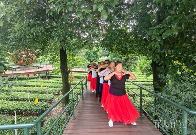 游客在高县大雁岭景区游玩 黄平 摄目前,大屋社区已建成省级3星级现代