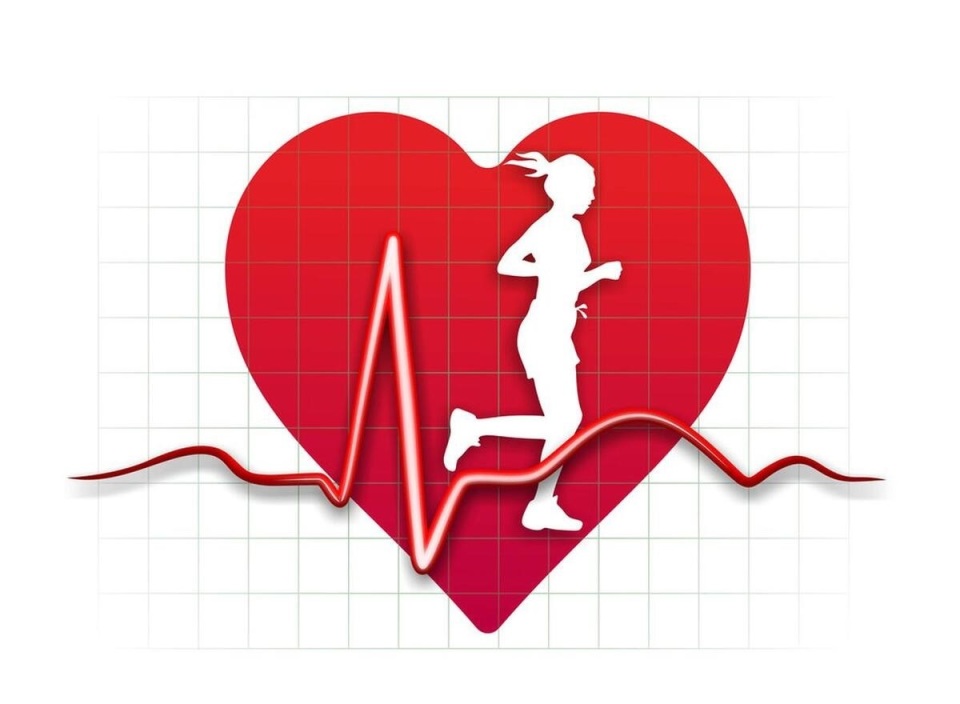 心率总在80以上心脏会不会太累了如何控制心率呢