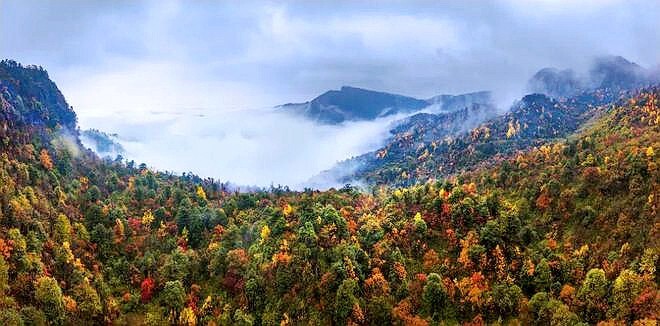 走进云南彝良小草坝,这里是天麻之乡,也是美景如画的旅游胜地_腾讯