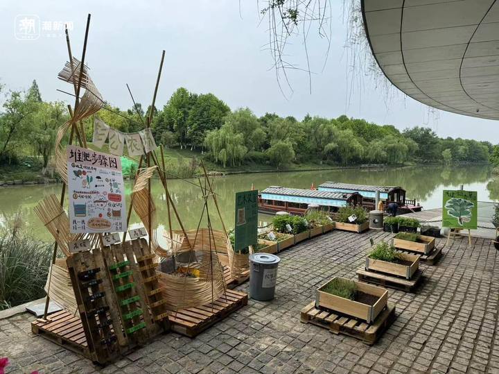 数字巨幕,爬行动物活体,西溪龙舟……中国湿地博物馆焕新归来