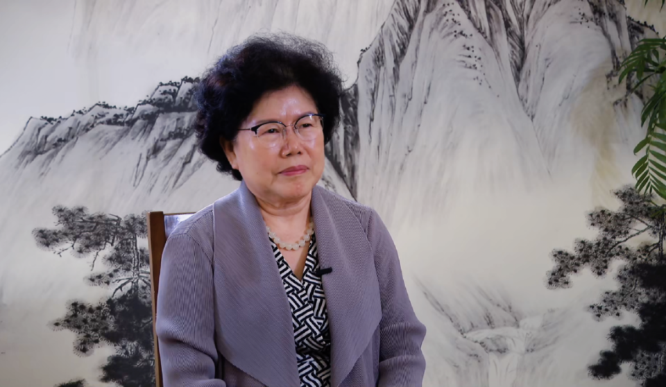 专访陈文玲:放眼世界市场,产能远没有"过剩"