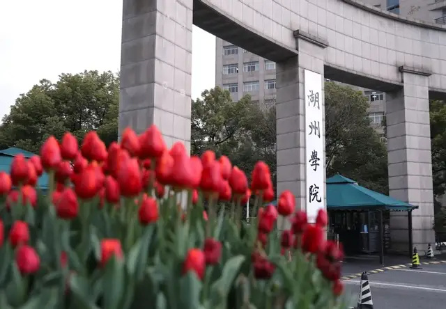 湖州学院 二本图片