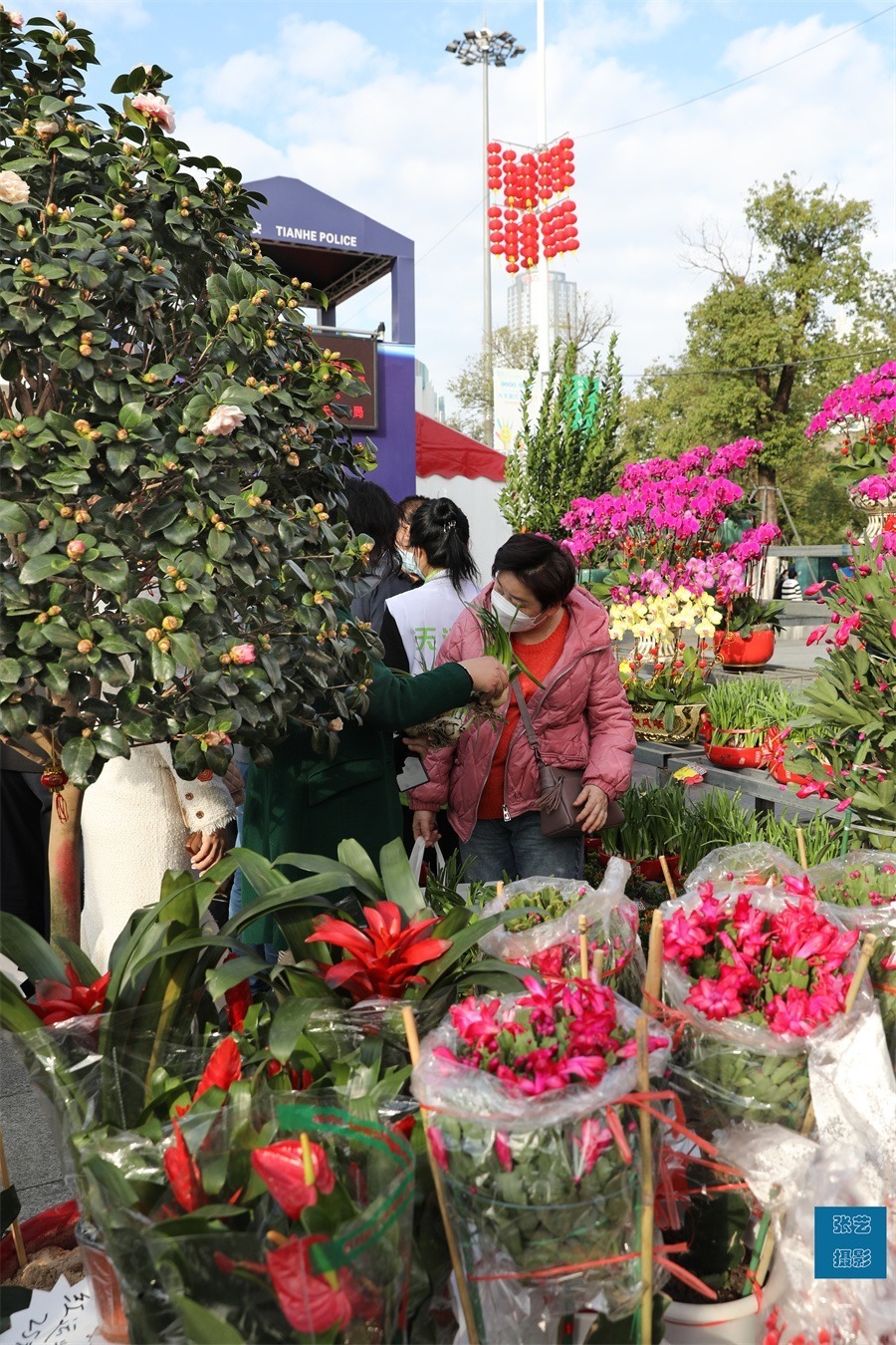 广州花卉市场砸花图片