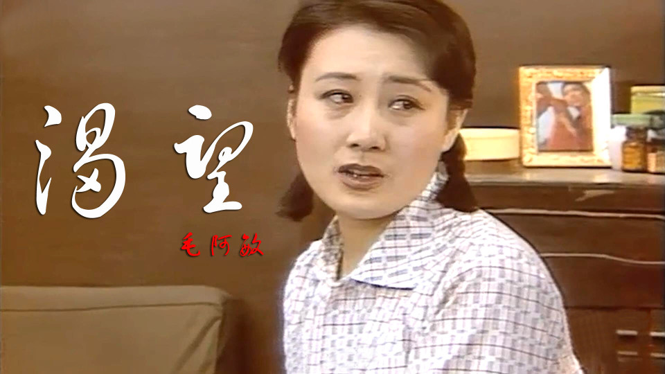 回看毛阿敏60年大起大落,两陷税务问题,丈夫离世,还有