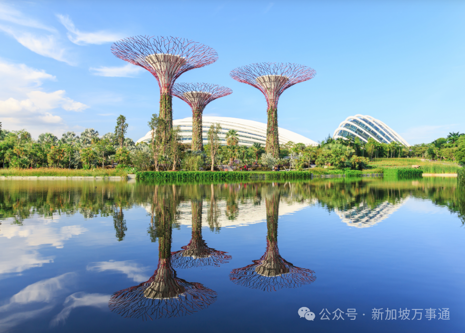 别在中国"蒸桑拿"了,快来解锁新加坡这10大必游景点