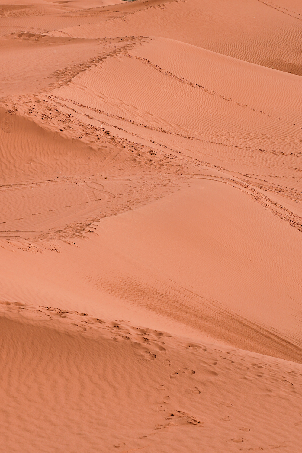 壁纸 沙漠 桌面 1000_1500 竖版 竖屏 手机