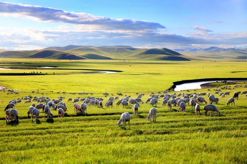 内蒙古兴安盟奋力创建我国首个现代畜牧业试验区