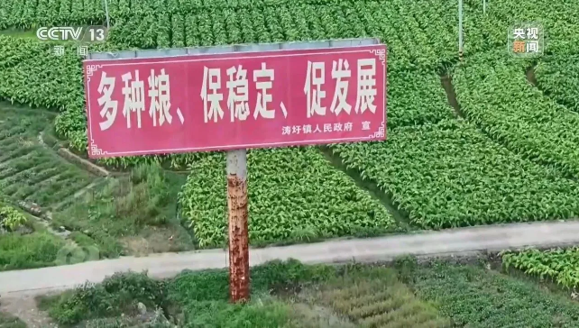 赤裸裸造假！央视曝光：县镇村三级应付检查，种植面积竟成数字游戏