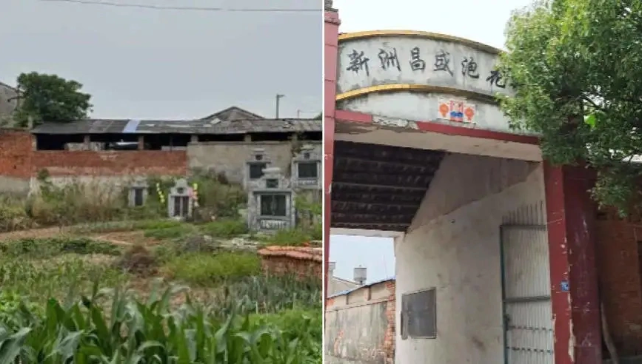 武汉通报“昌盛泡花碱厂环境问题”调查处理结果