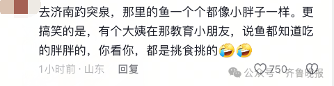 快手达人：新澳门资料免费资料大全-“再喂就嘎了！”趵突泉“猪鲤”开始减肥  第9张