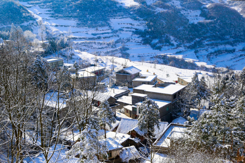 贵州屋脊韭菜坪雪景醉人 引来游人纷纷打卡_腾讯新闻