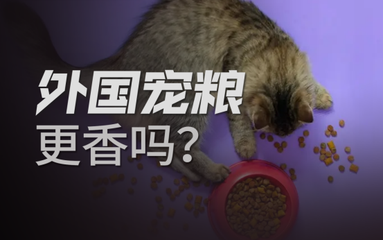 2021年,中国宠物猫狗总数突破一亿大关,我国的"它经济"正式来到亿万