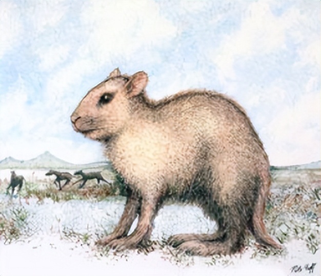 钉齿兽复原图,可见有如现代兔子般的修长后腿已经出