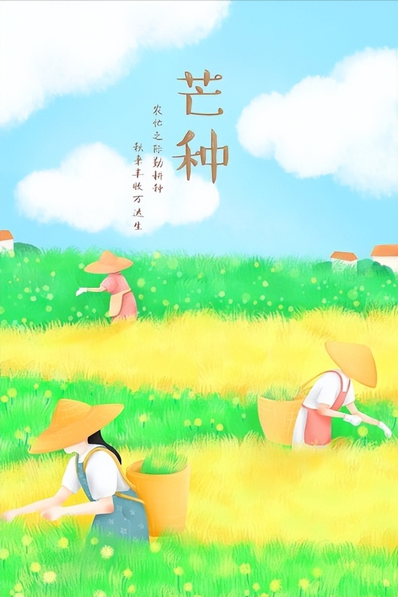 老话说"最怕芒种端午前",今年芒种啥时候?有啥讲究?了解下