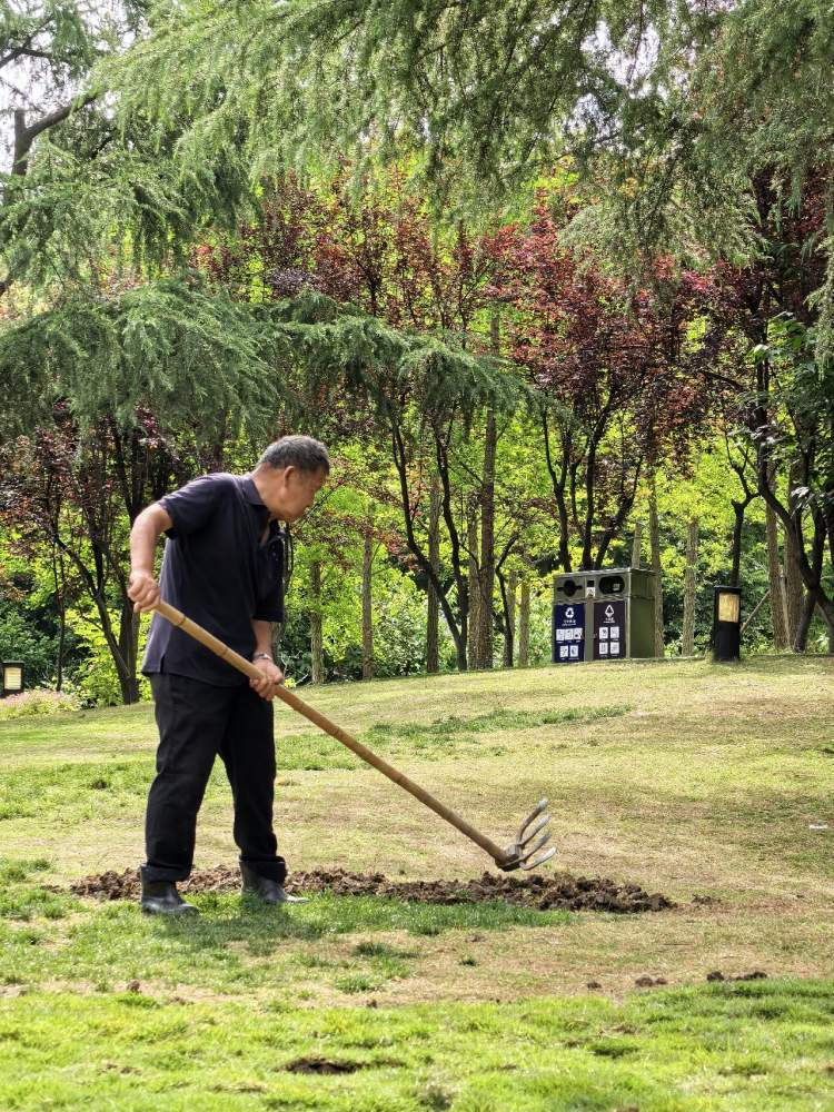 致敬61公园里园丁的辛勤与专注