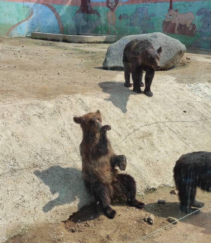 泰安野生动物园图片