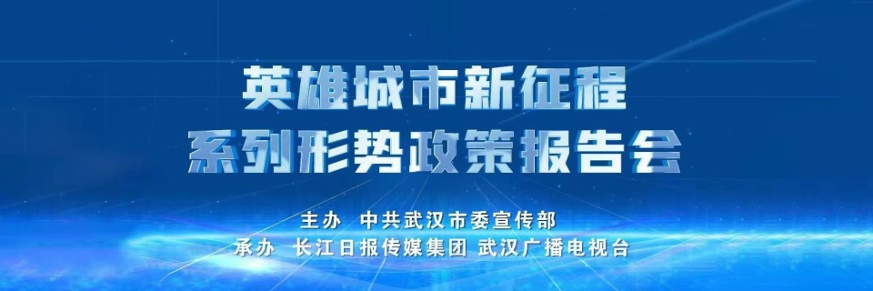 他們用心用情守護沉湖溼地成群飛舞的候鳥成為蔡甸生態招牌