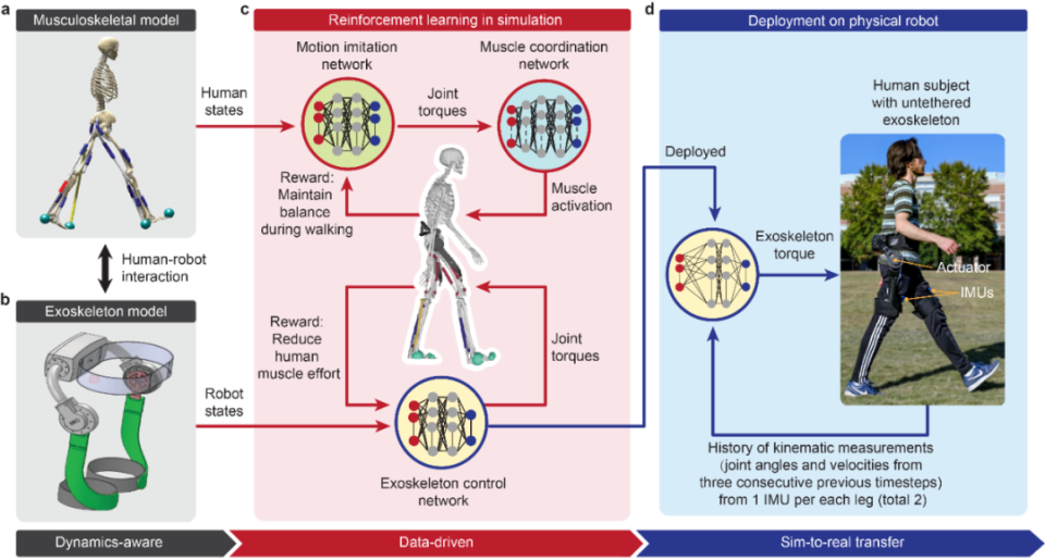 Nature重磅：AI顛覆外骨骼！節(jié)省大量體力，自主適應走路、跑步等