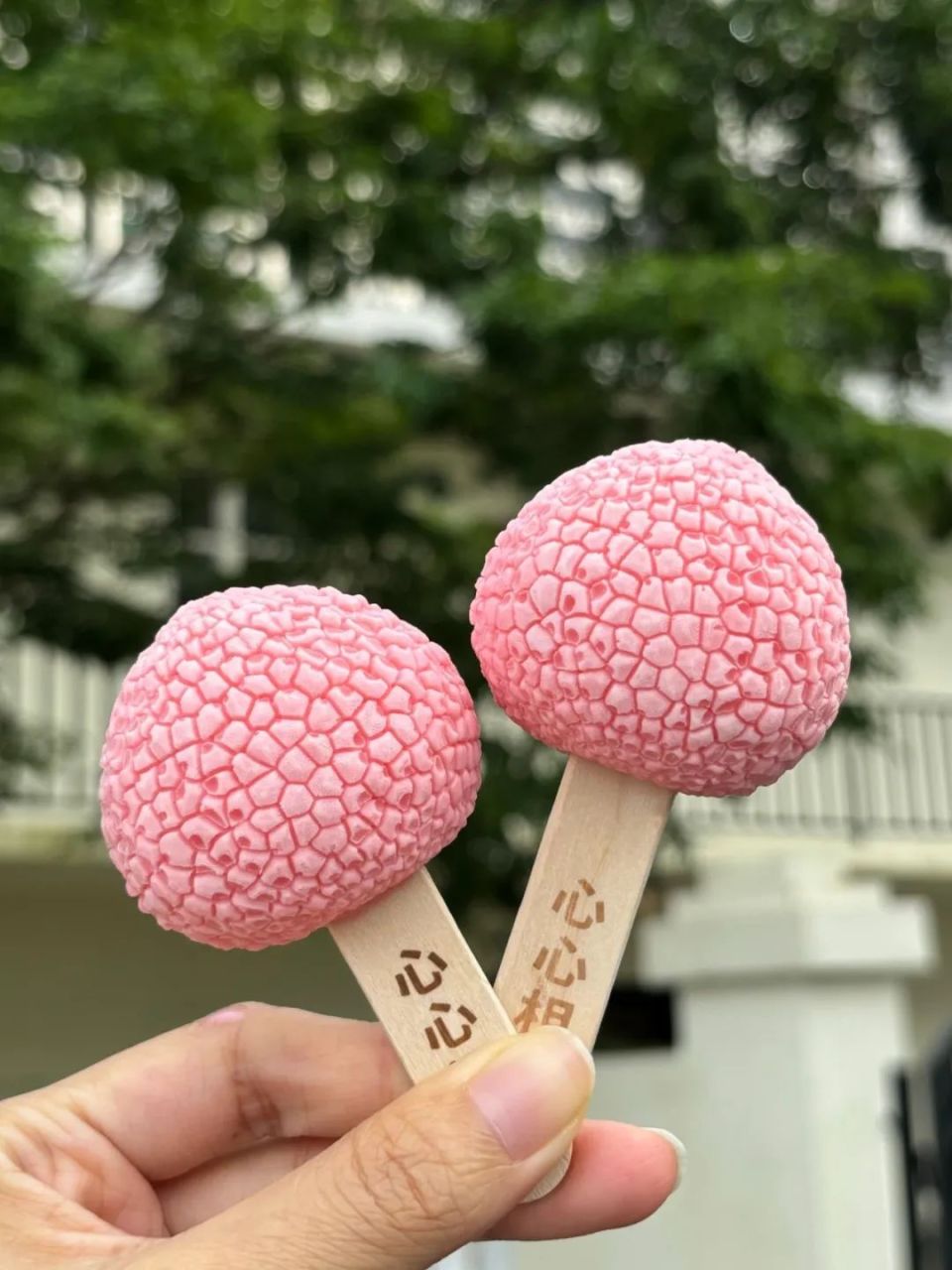 贵妃荔枝冰淇淋入驻西安华清宫和秦始皇兵马俑博物馆