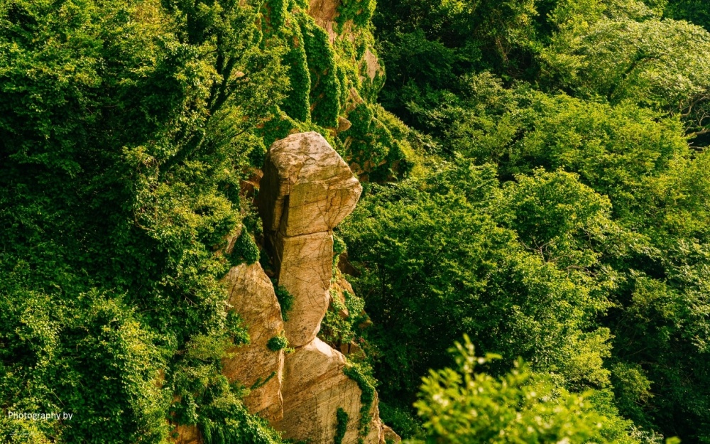 江苏最高山图片