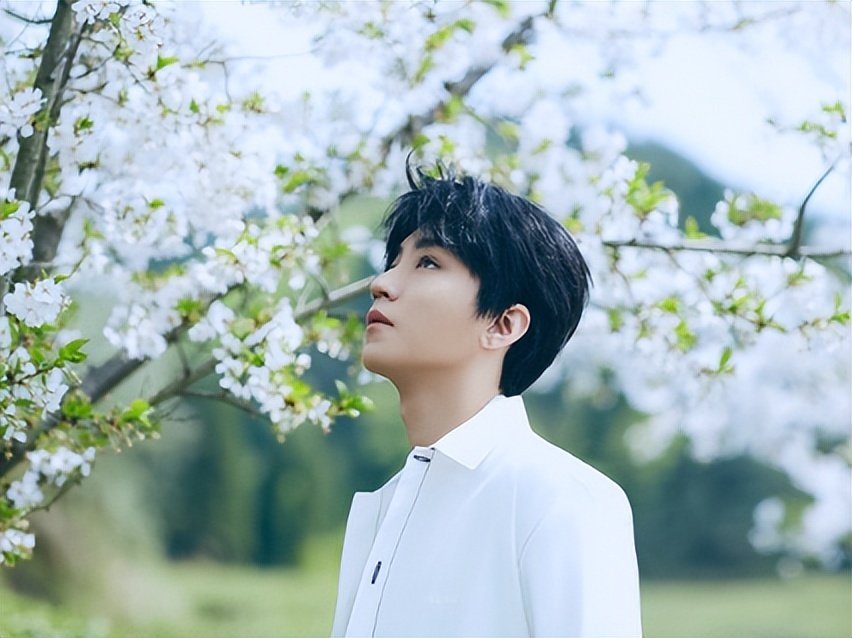 《下一站台风》已定张子枫,王俊凯不演,网友"用王俊凯做热饼"