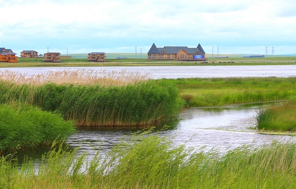 行摄大草原:辉河湿地