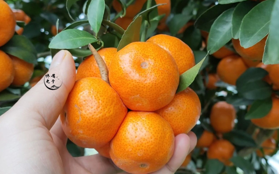 641