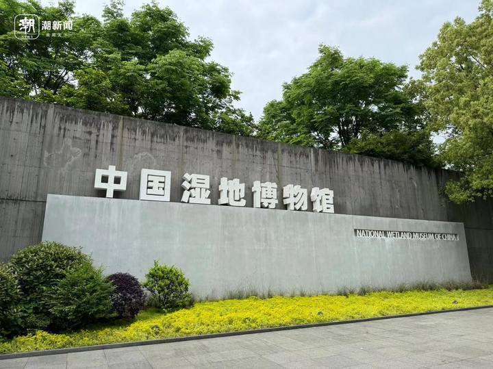 数字巨幕,爬行动物活体,西溪龙舟……中国湿地博物馆焕新归来