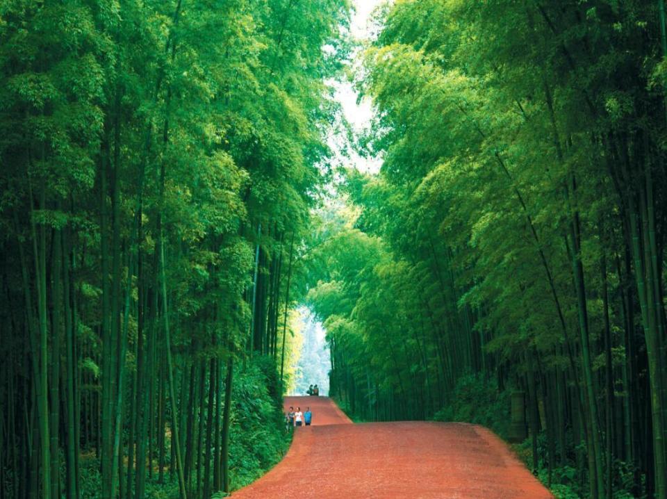 天宝寨夏季是蜀南竹海最美的季节,这时候的竹海空气清新,竹茂水丰